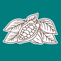 Hand drawing isolated cocoa beans.