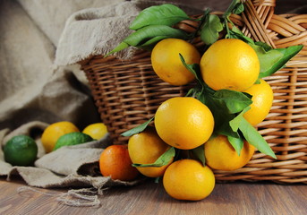 мандарины на ветке в плетеной корзине