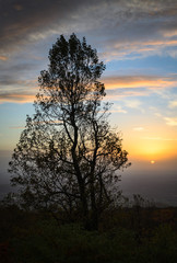 Fototapeta na wymiar Shenandoah National Park at Sunrise