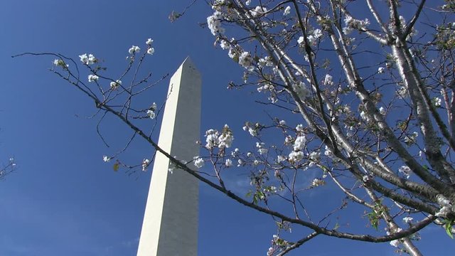 The Washington Monument on the National Mall