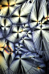 Crystals of Vitamin C, ascorbic acid.  Microscope image