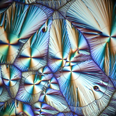 Crystals of Vitamin C, ascorbic acid.  Microscope image