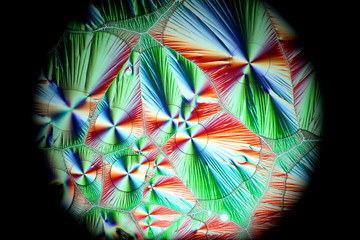 Crystals of Vitamin C, ascorbic acid.  Microscope image