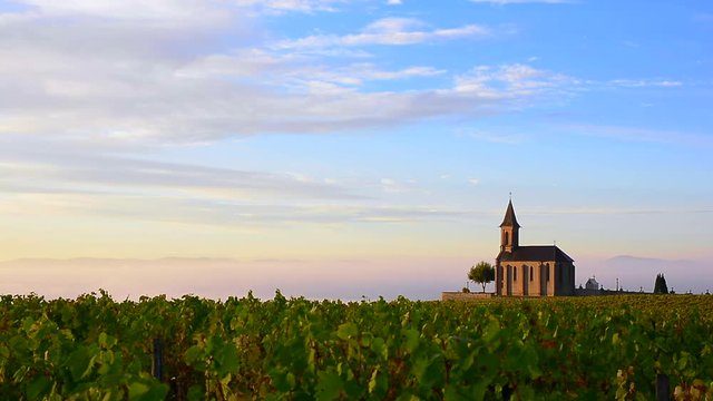 Vineyards and church with a beautiful sky at sunrise in Beaujolais land