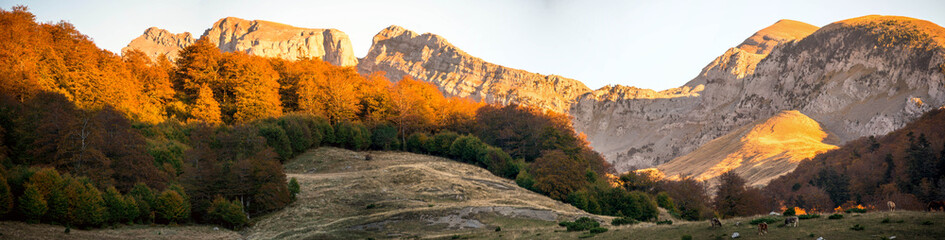 Autumn landscape in the Pyrenees in Spain. "Los Alanos" in Zuriza, Huesca. 