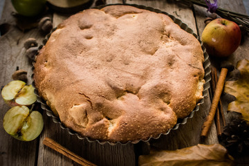 Homemade Organic Apple Pie Dessert Ready to Eat