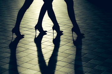 Female legs in stylish shoes