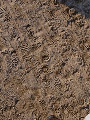 Spuren im Sand