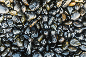 Background texture of wet smooth pebbles