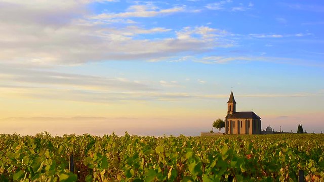 Vineyards and church with a beautiful sky at sunrise in Beaujolais land