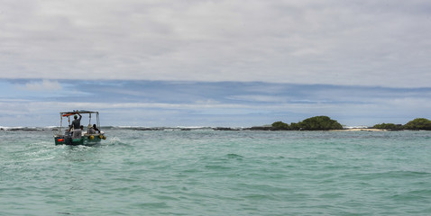 Fototapeta premium galapagos