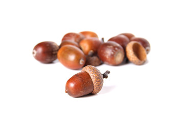Acorns