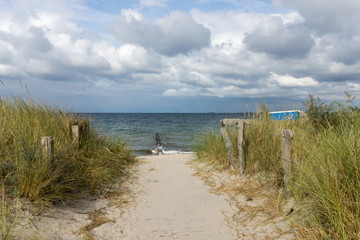 Fototapeta na wymiar Dünenweg zum Strand in Heiligenhafen, Schleswig-Holstein