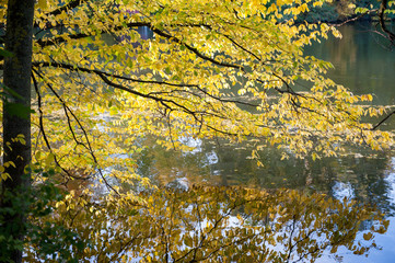 Motala stream in Norrkoping during autumn in Sweden
