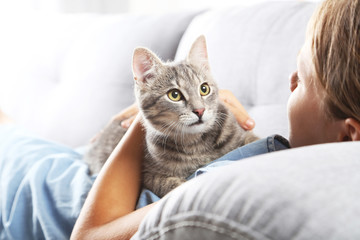 Beautiful grey cat on female hands on sofa