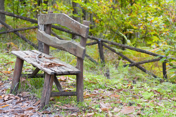 panca di legno nel bosco