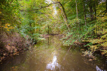 Fototapeta na wymiar Autumn in the forest with water ditches and canals by Voorsterbo