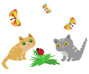 2 cat, ladybug and butterflys