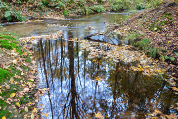Flowing water in stream long shutter Dutch autumn forest
