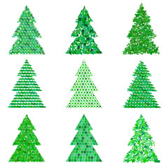 Collection of original green spruces on a white background. 