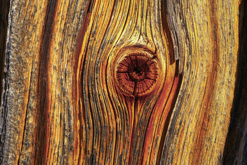 altes Holz