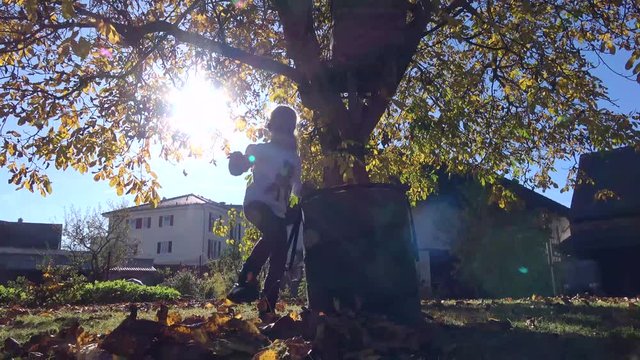 M&auml;dchen sammelt im Garten die Nu&szlig;bl&auml;tter - Gartenarbeit im Herbst, 4K