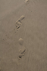 Fototapeta na wymiar Foot prints in sand at the beach