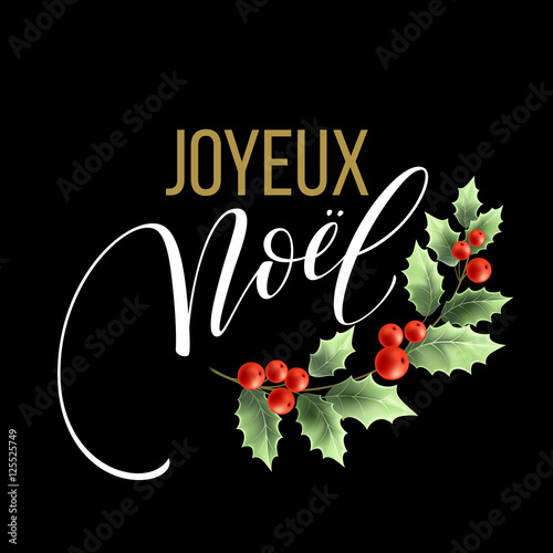 Joyeux noel means merry christmas french stock vector (royalty free) 239303659 "Merry Christmas card template with greetings in french language. Joyeux noel. Vector