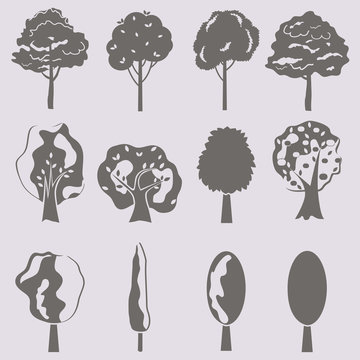 Vector collection of tree silhouettes isolates. 