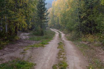 Fototapeta na wymiar Country road in the autumn forest. Baikal taiga. Buryatia. Russia.
