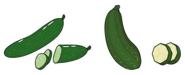 Zucchini und Schlangengurke