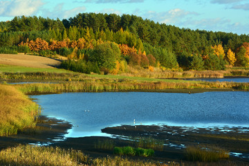 Colorful autumn landscape with lake