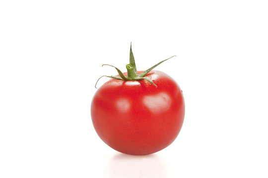 Rote Tomate auf weissem Hintergrund