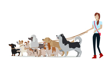 Dog Walking Banner. Woman Walk with Different Dogs