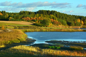 Obrazy na Szkle  Kolorowy jesienny krajobraz z jeziorem