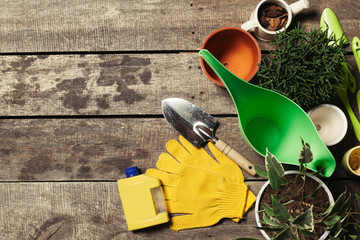 composition of garden tools