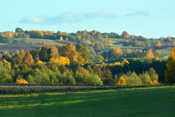 Fototapeta na wymiar Colorful autumn landscape