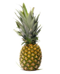 Fototapeta premium pineapple isolated 