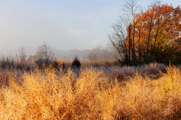 Fototapeta na wymiar Foggy autumn morning over small