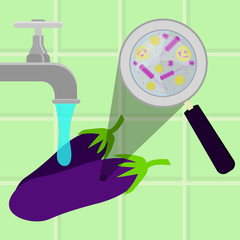 Contaminated eggplants being cleaned and washed in a kitchen. Microorganisms, virus and bacteria in the vegetable enlarged by a magnifying glass. Running tap water.