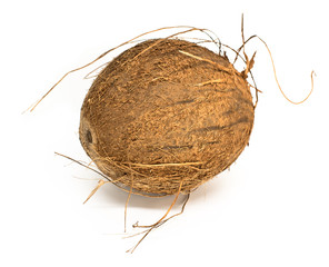 coconut on white background