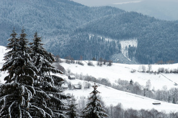 Lone houses in the mountains in the snow against the backdrop of the forest with fir trees in the foreground. Winter landscape.