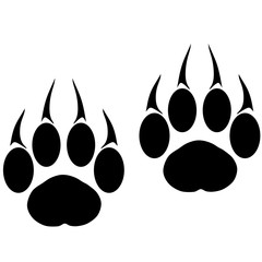 Fototapeta premium Footprints of a big cat. Panther or tiger traces. Vector