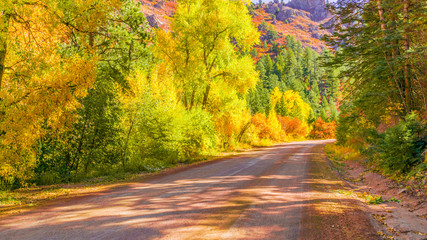 Obraz premium fall road