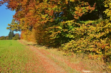 Herbst