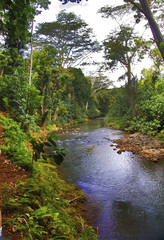 Kauai river