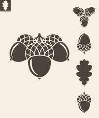 Acorn. Vector illustration