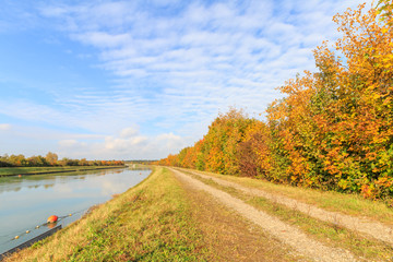 autumn trees an bushes at a canel with path on sunny day