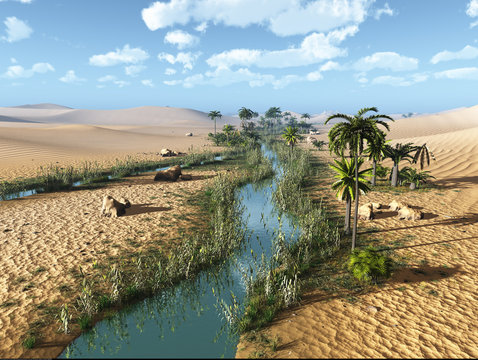 3D Created and Rendered Fantasy Desert Landscape with Oasis