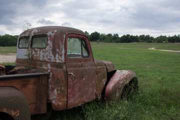 Looking Foward to Greener Pastures